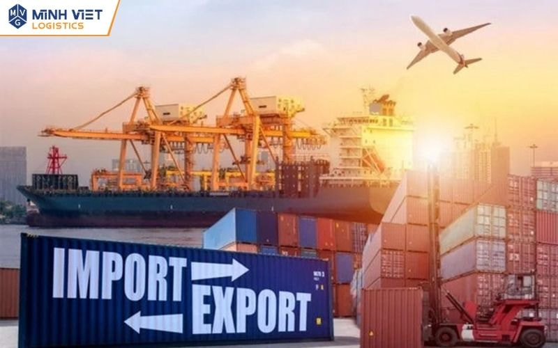 Dịch vụ ủy thác xuất nhập khẩu - Minh Việt Logistics